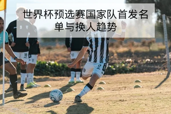 世界杯预选赛国家队首发名单与换人趋势